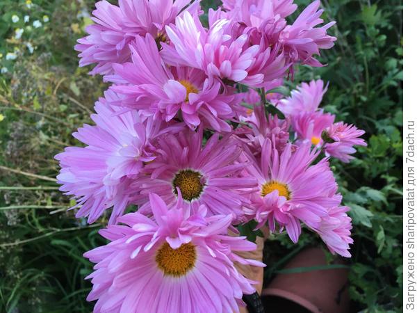 П о з д р а в л я ю!