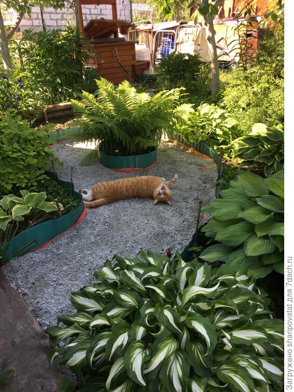 Иннокентию уже нравится