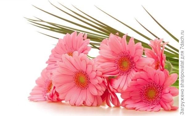 П о з д р а в л я ю!