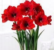 С днем рождения!