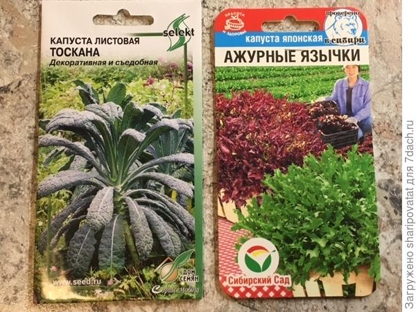 Листовые сорта капусты