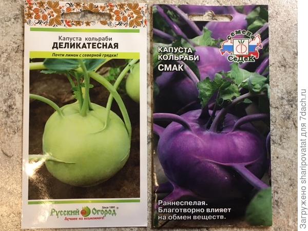 Кладезь витаминов и микроэлементов