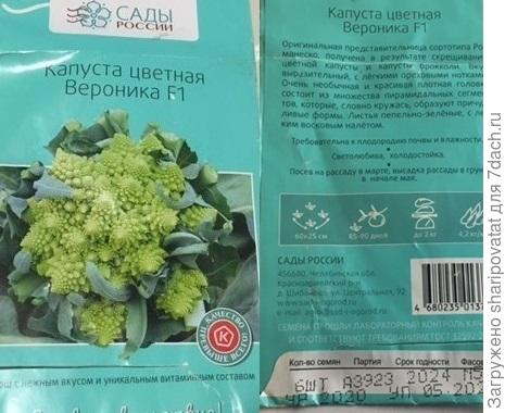 Исходные ориентиры