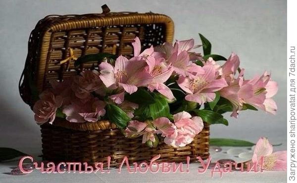 П о з д р а в л я ю!