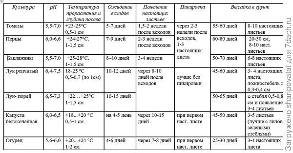 Возраст рассады для высадки в грунт таблица