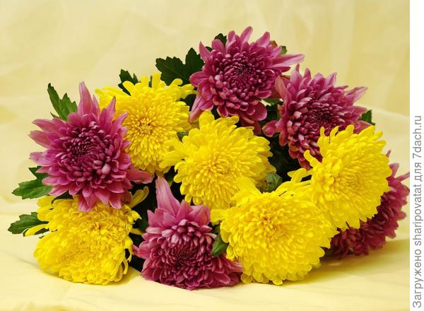 П о з д р а в л я ю!