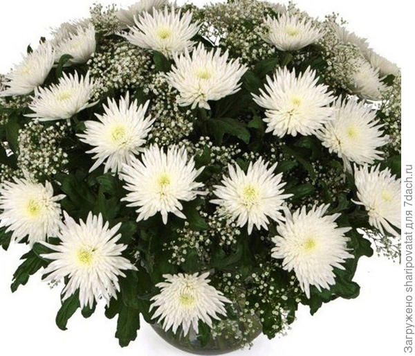 П о з д р а в л я ю!