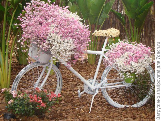 П о з д р а в л я ю!