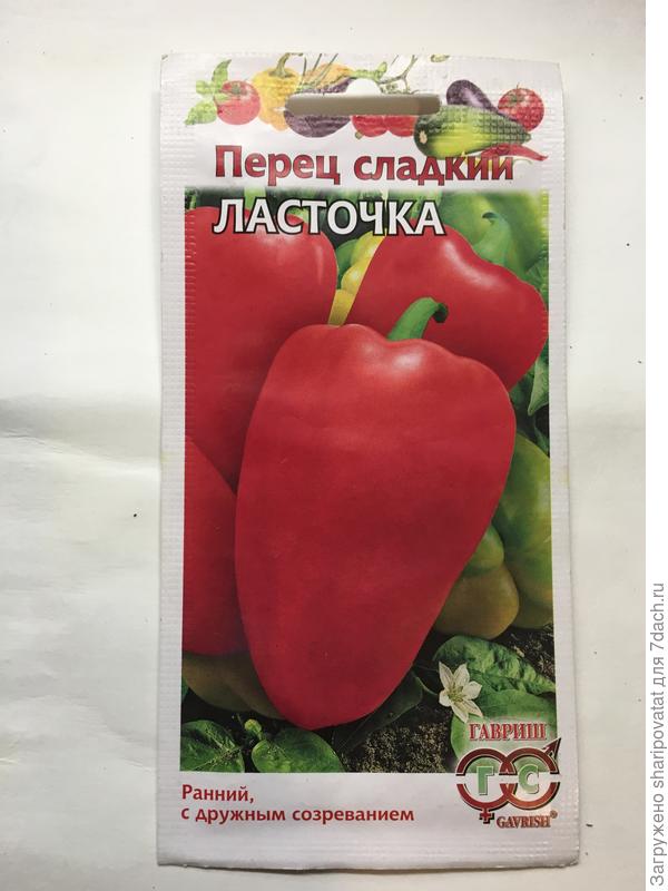 "Ласточка"