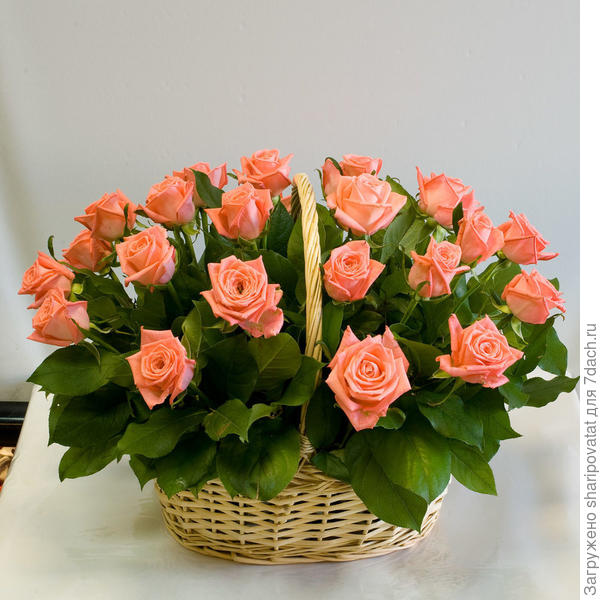 П о з д р а в л я ю!