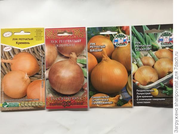 Новые для меня сорта репчатого на испытании в этом сезоне