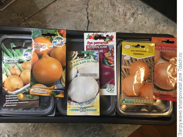 6 марта. Комбинированная техника посева репчатого лука в зависимости от качества и количества семян