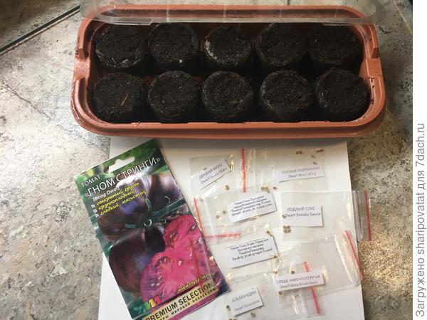 Гномы с родословной и без нее ждут природного воплощения.