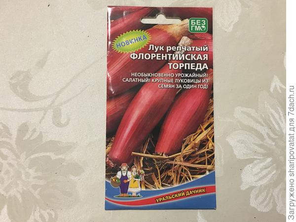 Флорентийская торпеда – мечтала вырастить в прошлом году. Не взошла! Попробую еще раз