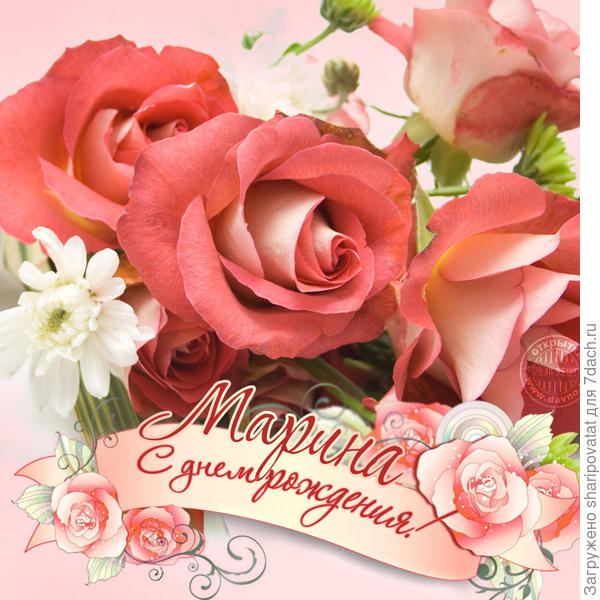 Приятных сюрпризов в этот день!