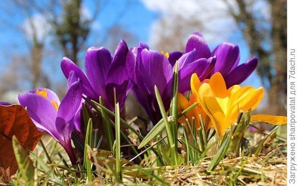 С праздником 8 Марта!