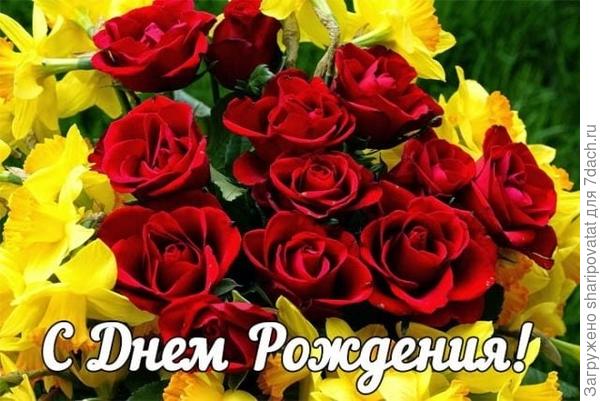 Приятных ярких впечатлений