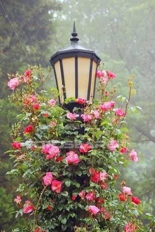 П о з д р а в л я ю!