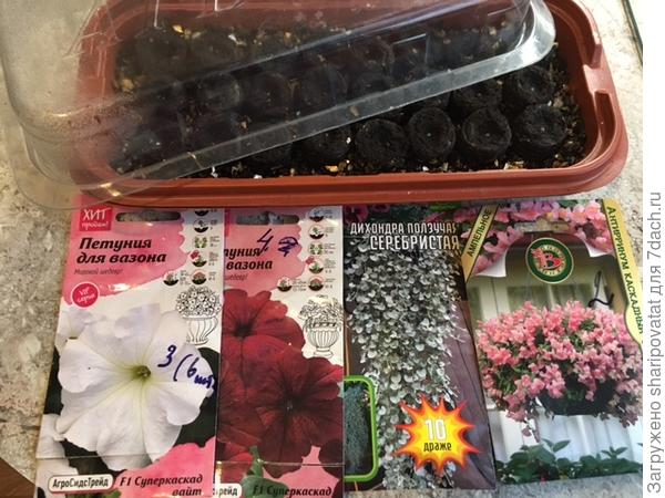 1 февраля в таблетки, в лоток с другими цветами