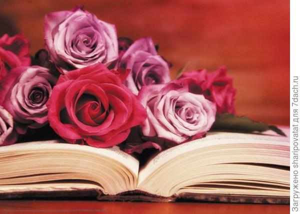 П о з д р а в л я ю!