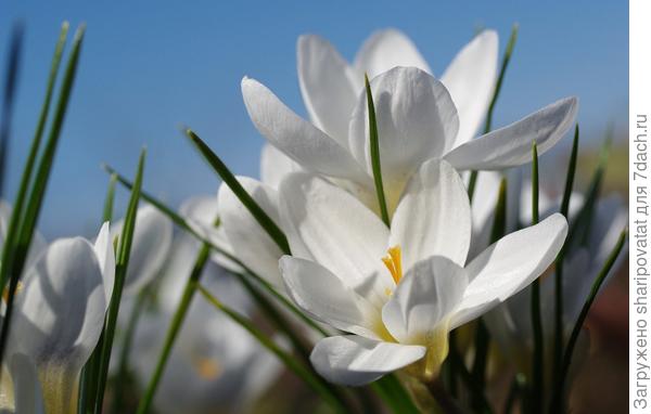 П о з д р а в л я ю!