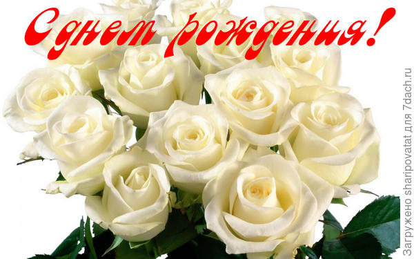 П о з д р а в л я ю!