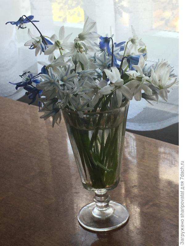 П о з д р а в л я ю! А в подарок немного весенней нежности.