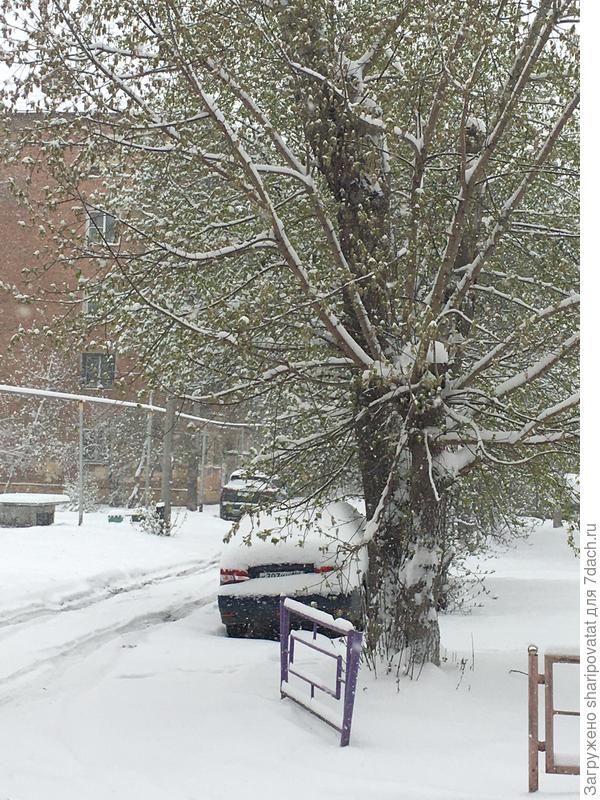 Через 12 часов снегопада во дворе ни пройти толком, ни проехать! И снег не собирается сдаваться...