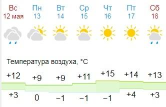 Примерные погодные перспективы на ближайшую неделю.
