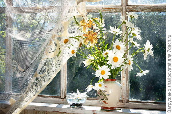 С днем рождения, Света!