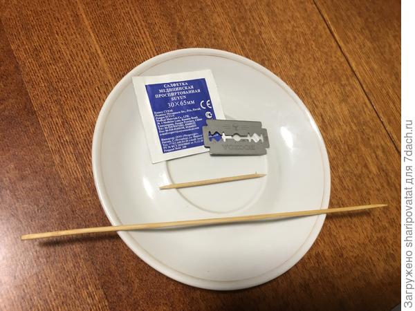 Инструмент для прививки на тыкву уколом