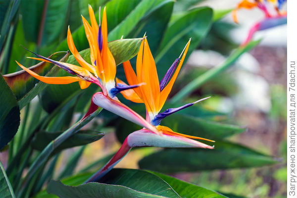 П о з д р а в л я ю!