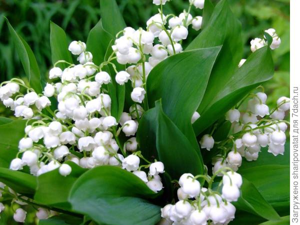 П о з д р а в л я ю!