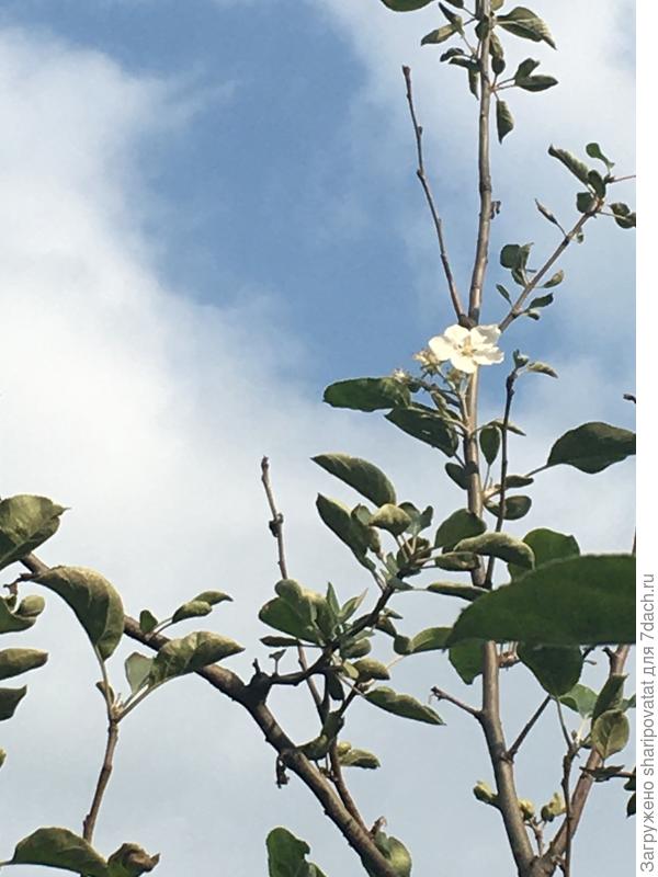 Всем катаклизмам назло!