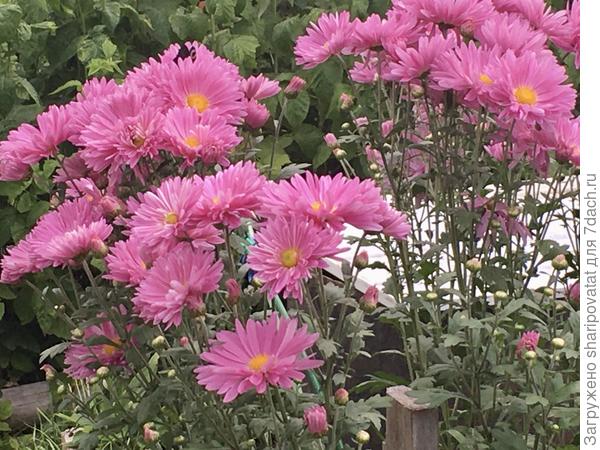 П о з д р а в л я ю!