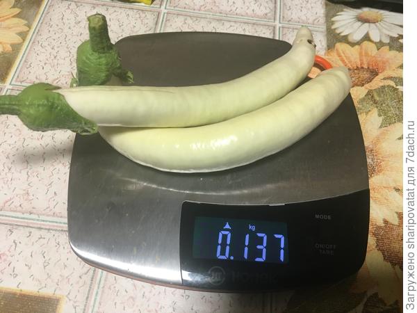 Корнесобственная Сосулька дала урожай в 3 раза меньше. Зато очень удобна в приготовлении и консервации.