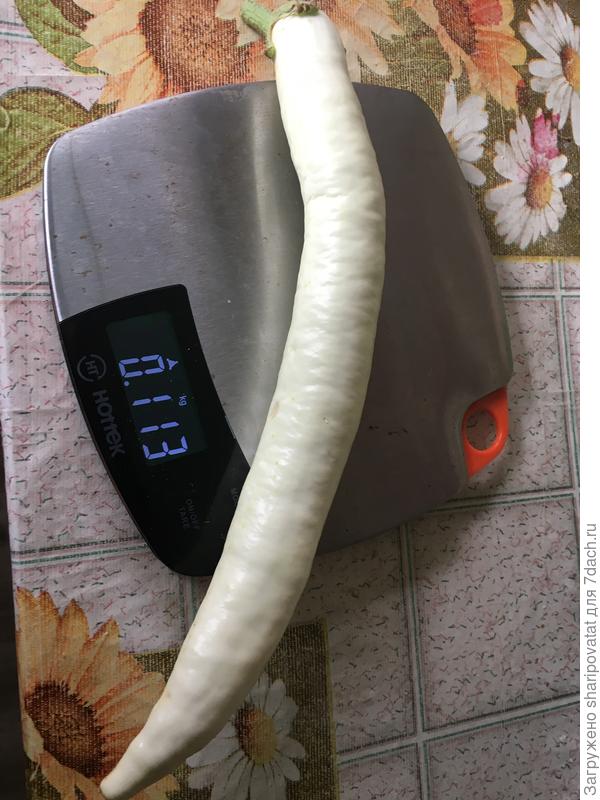 Вполне конкурентоспособна. Жаль не попала в прививки. урожайность была бы выше