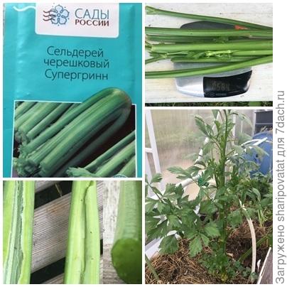 Жаль, что чеешковый Супергринн на треть не дотянул до &amp;quot;супер&amp;quot;...