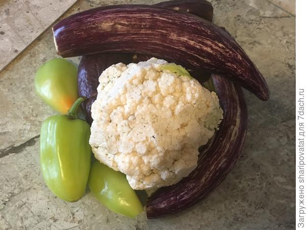 Зебрино в середине ноября при хранении в холодильнике с другими огородными "долглжителями