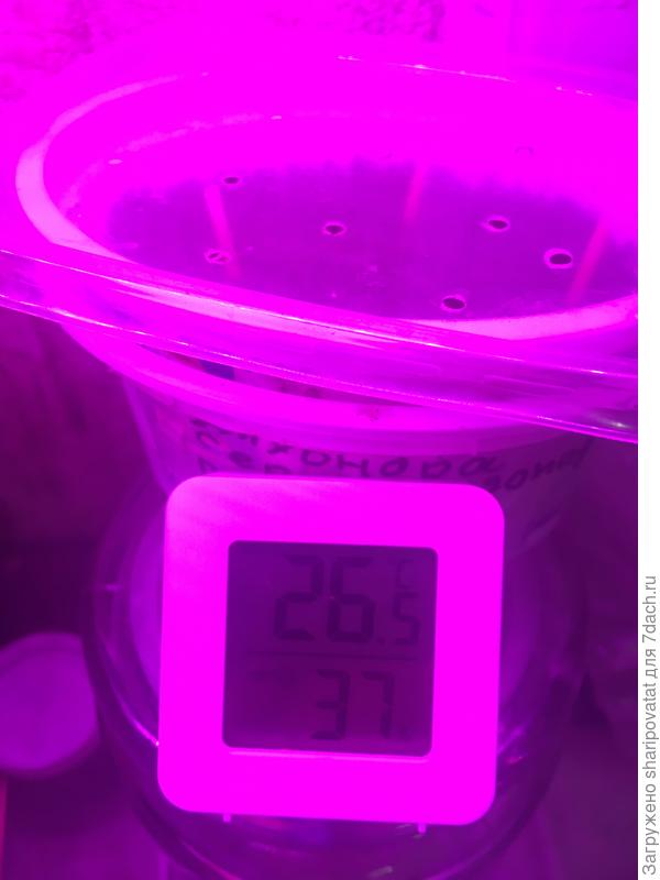 Условия прорастания