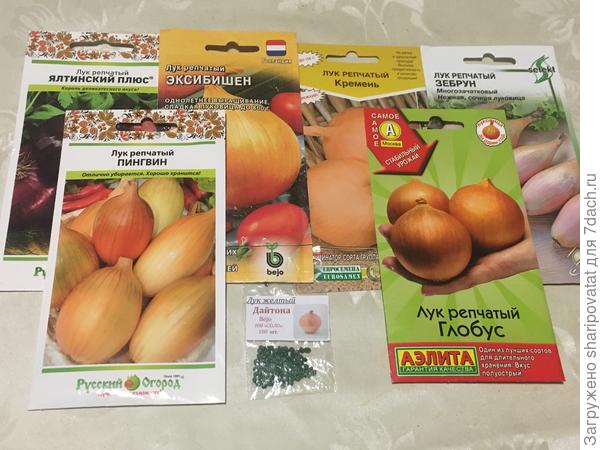 Лук для выращивания в однолетней культуре