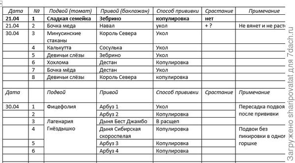 Прививки овощей 2025