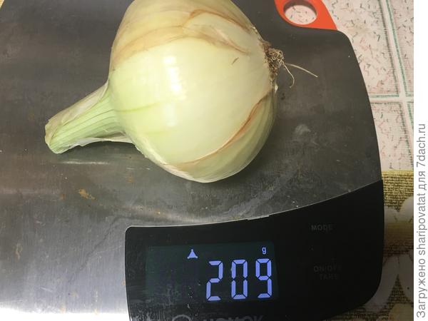 Промежуточный (взятый на заготовки) рекордсмен Семко