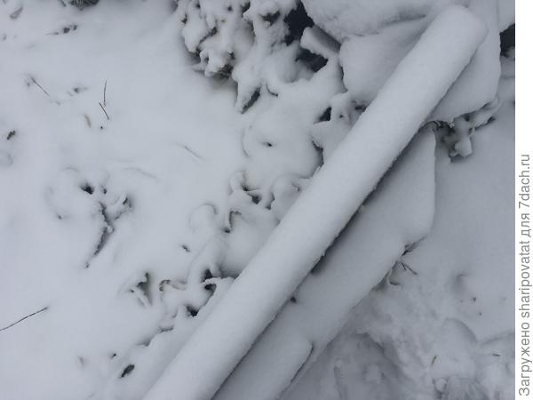 9 ноября. Через день после посадки.