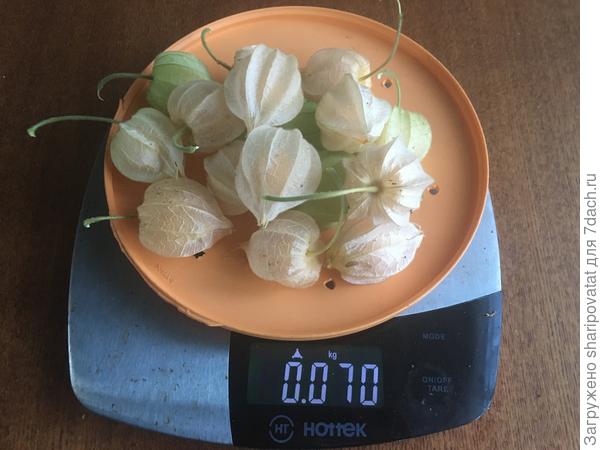 Последний сбор Мандарина (7 октября)