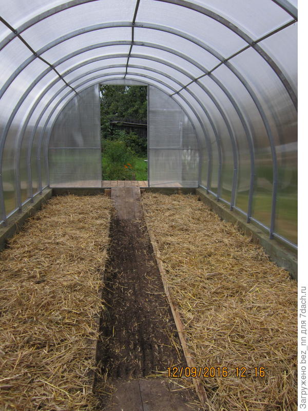 вновь построенная теплица,земля полусухая.