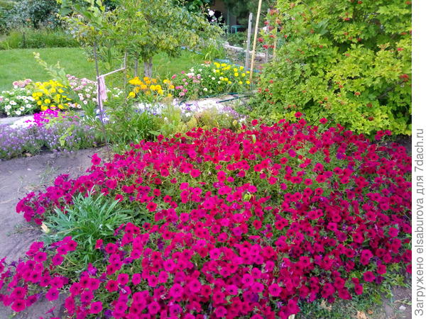 В грунте. Забила гацанию.