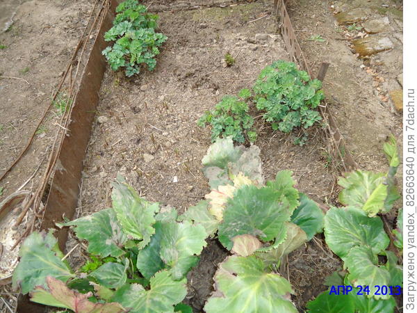 оказывается, апрель, а не март, ну, все равно после зимы