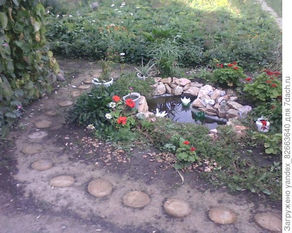 облагороженный прудик все еще в пленке