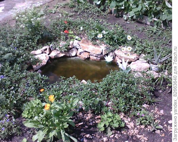 уже зарос в следующем году